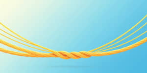 Wealth Convergence: Harmonizing Your Financial Goals